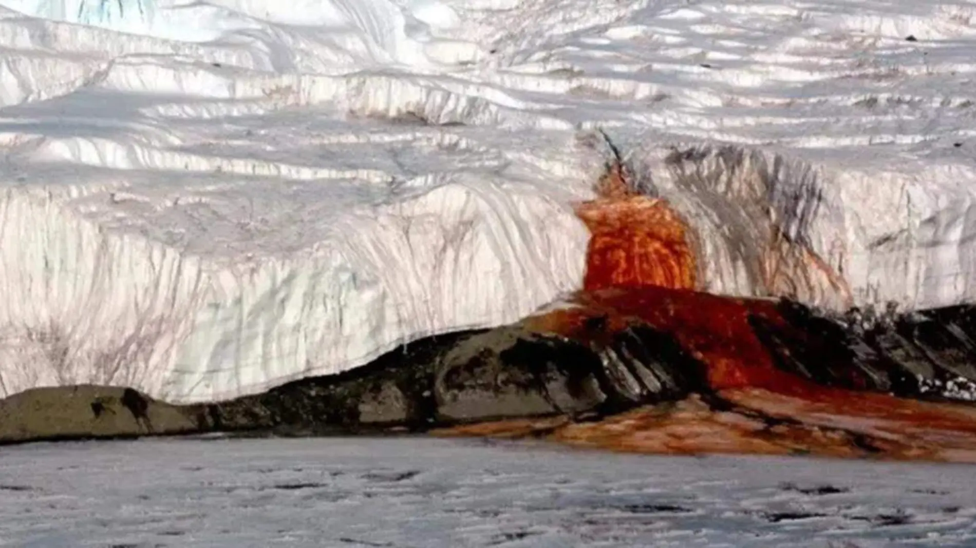 Encontrar otro color que no sea blanco en la Antártida suele acaparar las miradas de los expertos por los efectos que puede tener